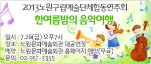 2013노원구립예술단체합동연주회