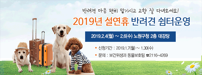 2019년 설 연휴 반려견 쉼터