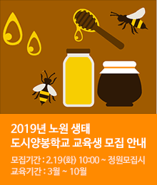 2019년 노원 생태 도시양봉학교 교육생 모집 안내