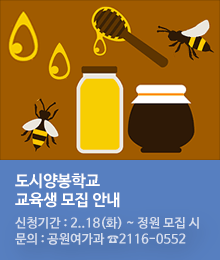 도시양봉학교 교육생 모집